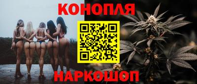 прущие крисы Будённовск