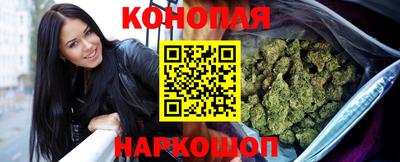 прущие крисы Будённовск