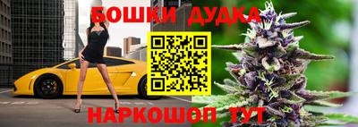 прущие крисы Будённовск