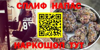 прущие крисы Будённовск