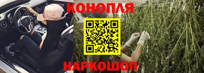 прущие крисы Будённовск