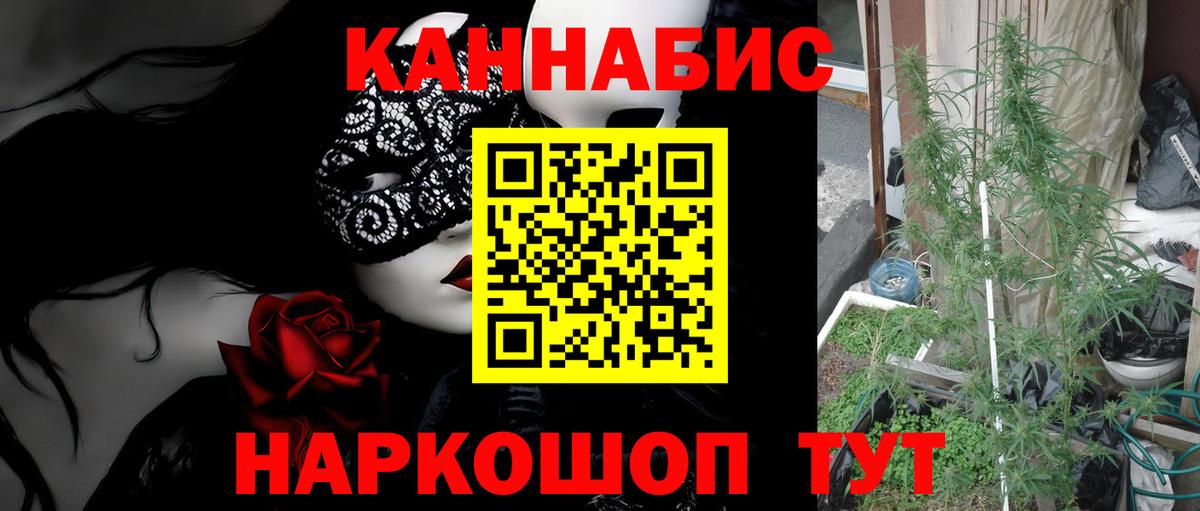 Каннабис MAZAR  Конопля White Widow  Карабулак  Бошки марихуана индика  Вход с VPN  МАРИХУАНА гибрид 