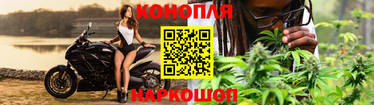 Канабис тримм Карабулак